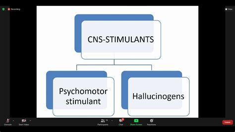 Cns Stimulants Hallucinogens Pharmacology Youtube