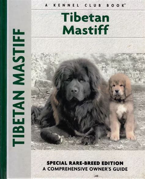 Tibetan Mastiff Special Rare Breed Edition A Comprehensive Owners S