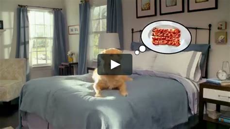 Beggin Strips Around The World Mp4 On Vimeo