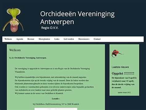 Orchideeën Vereniging Antwerpen OrchidWire Archives