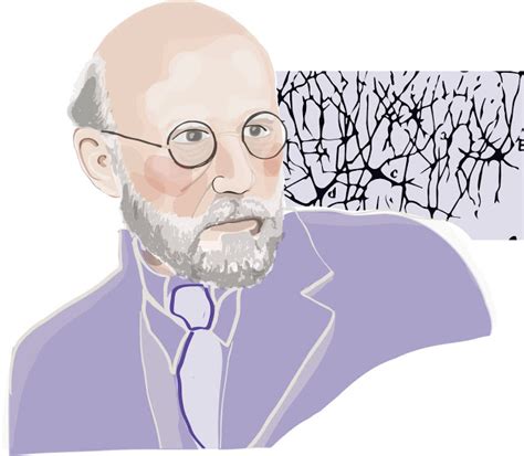 Santiago Ram N Y Cajal Ilustrador Cient Fico Y Padre De La