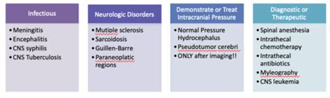 Dm Iii Neuro Triad Flashcards Quizlet