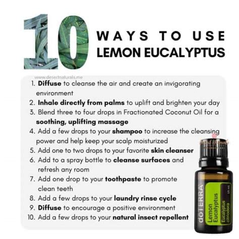 Doterra Lemon Eucalyptus Oil Desert Naturals Essential Oils And Holistic Living