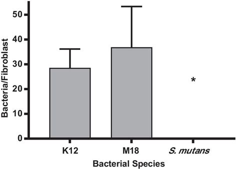 Bacterial Adherence To Human Gingival Fibroblasts Bacterial Attachment