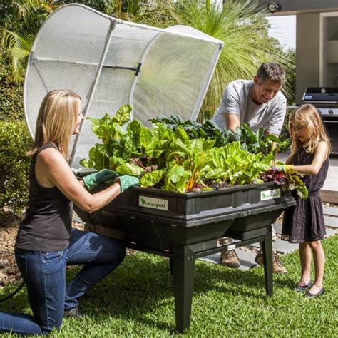 Medium Vegepod Raised Garden Bed With Cover Richard Jackson Garden