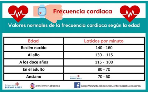 ¿cómo Controlar Y Mejorar La Frecuencia Cardíaca 2024