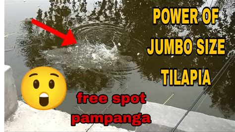 Ep19 P1 Fishing Sa Tabi Ng Malalawak Na Fish Pond Street Fishing