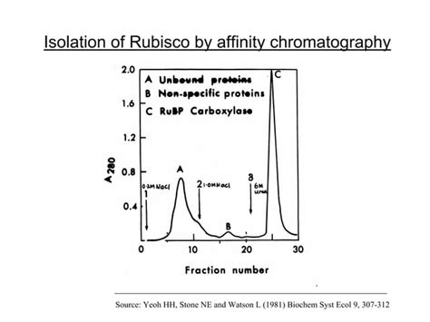 affinity chromatography.pdf | Free Download