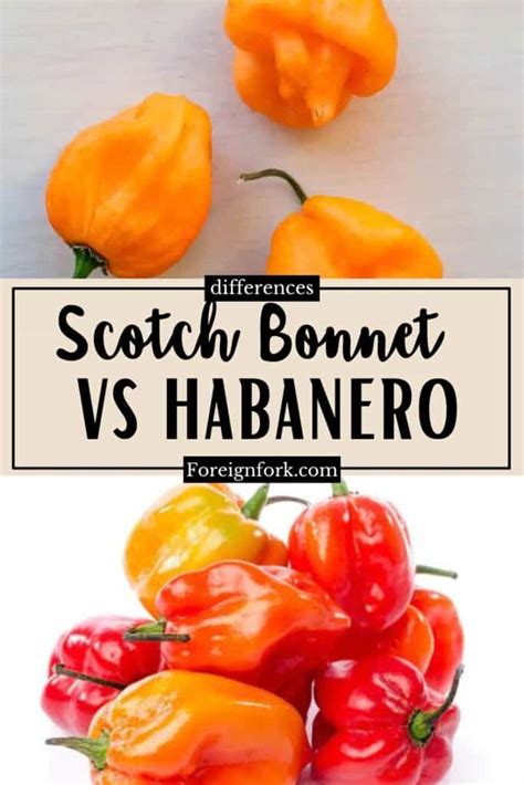 Scotch Bonnet Vs Habanero Similarities The Foreign Fork