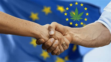 Expansión Europea de la Asociación para la Industria de Cannabinoides