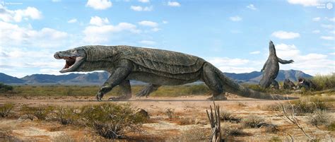 Megalania By Swordlord3d On Deviantart