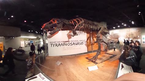 Smithsonian Museum Of Natural History In 360 Vr Youtube