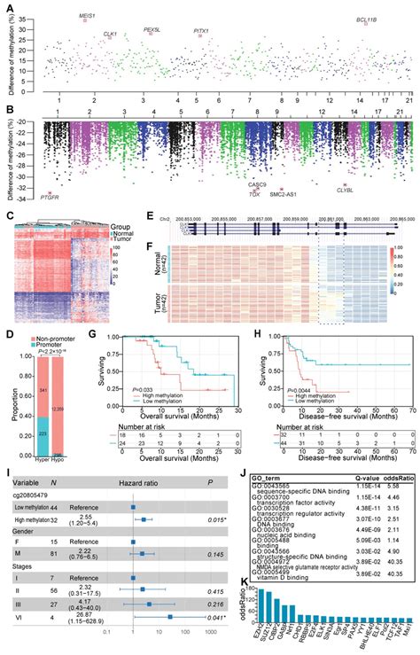 Dna Methylation Alteration Within Promoters In Escc Genome Wide Download Scientific Diagram