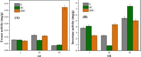 Urease A And Invertase B Activity In S Sc And Shc Download Scientific Diagram