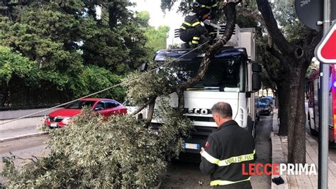 Ramo Si Stacca Dall Albero E Colpisce Un Camion Paura In Via San