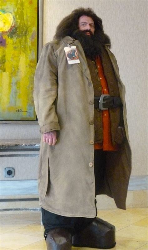 Diy Harry Potter Hagrid Costume Harry Potter Cosplay