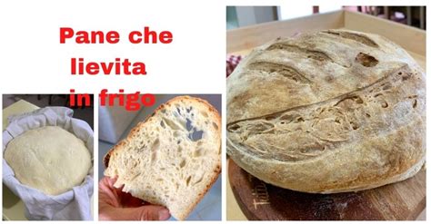 LIEVITAZIONE PANE IN FRIGO Ricetta Per Farlo Perfetto Come In Panificio