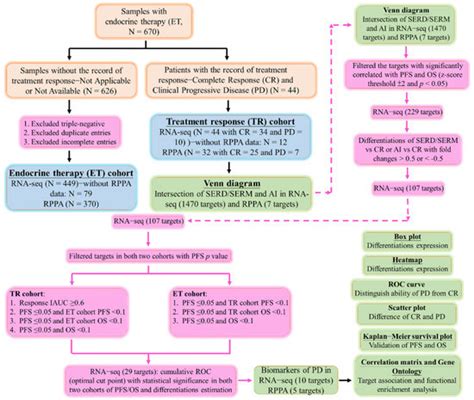 Ijms Free Full Text Comprehensive Transcriptomic And Proteomic