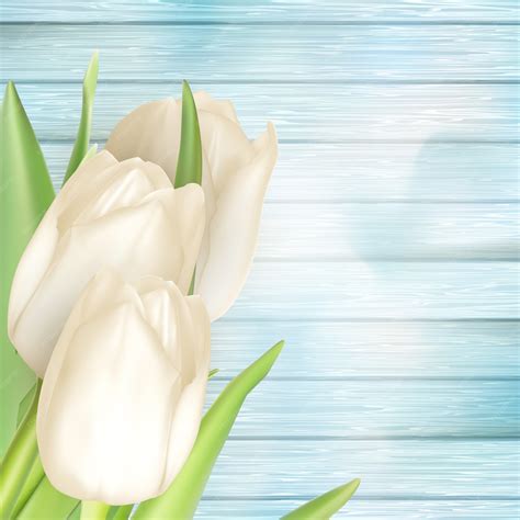 Premium Vector | Bouquet of white tulips.