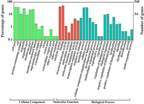 Gene Ontology Chart Of Mirna Targets Predicted In The Saffron