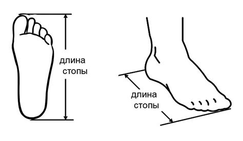 Таблица размеров - полезная информация для покупателей VILLAGGIO