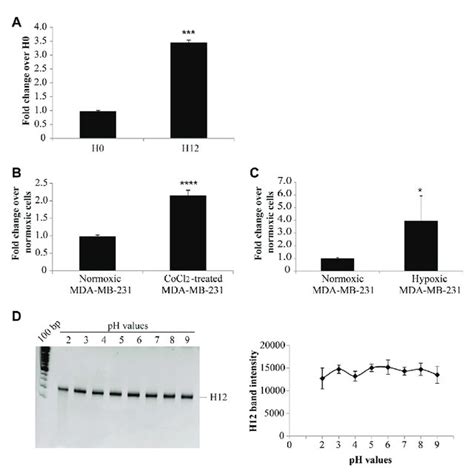 Nicking Endonuclease Assisted Amplification Assays A Nicking Enzyme Download Scientific