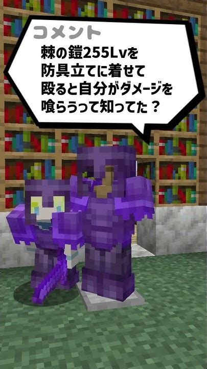 【マイクラ】棘の鎧255lvを防具立てに着せて殴ると自分がダメージを喰らうって本当？【検証】shorts Youtube