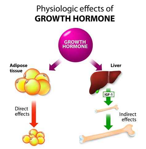 physi effects of GH - HGH Prescription