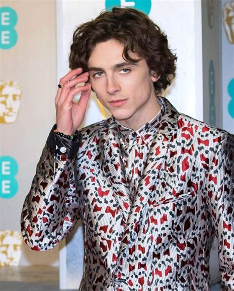 Pin by Gigi Bello on timothée chalamet ♡ | Timothee chalamet, Gq, Timmy t