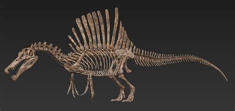 Jurassic World Spinosaurus Skeleton