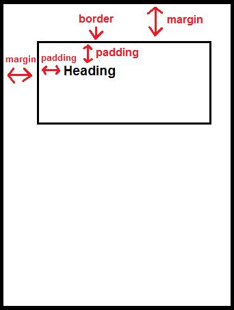 CSS Difference Between Padding And Margin