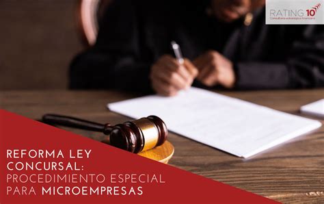 Reforma De La Ley Concursal Procedimiento Especial Para Microempresas