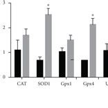 The Expression Of Antioxidant Genes Cat Sod Gpx Gpx And Ucp In