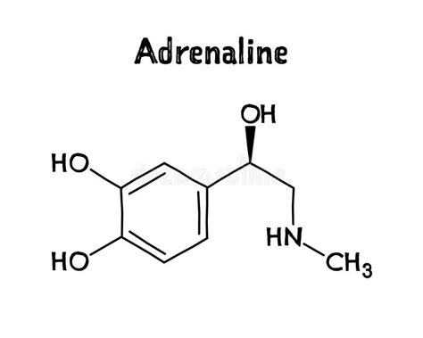 Adrenaline Structural Formula Of Molecular Structure Stock Vector