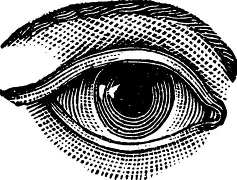 Eye Vintage Illustration 13689825 Vector Art At Vecteezy