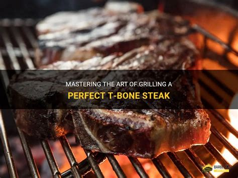 Mastering The Art Of Grilling A Perfect T Bone Steak Shungrill