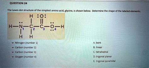 Glycine Lewis Structure