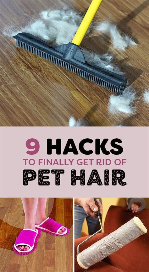 9 Life Saving Hacks For Removing Pet Hair From Everywhere Cleaning