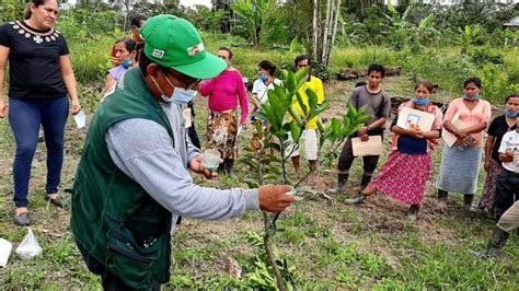 Ley que regula el servicio de extensión agropecuaria FENACREP