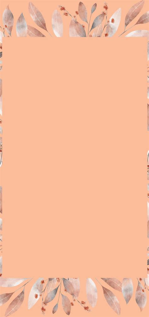 Download Peach Color Background 900 X 1920 | Wallpapers.com