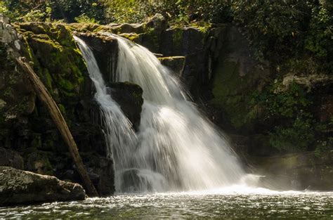 Smoky Mountains Waterfalls: Explore the National Park's Attractions