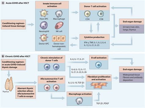 Advances And Challenges In Immunotherapy For Solid Organ And Hematopoietic Stem Cell