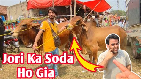 Live Soda L Demand Lac Final Kitne Main L Bhai Kitne Ka Liya L