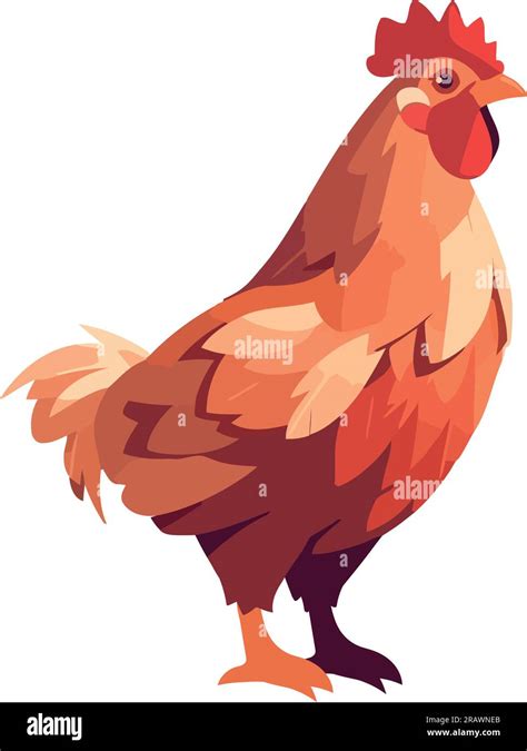 Standing Rooster Crowing On A Farm Stock Vector Image Art Alamy