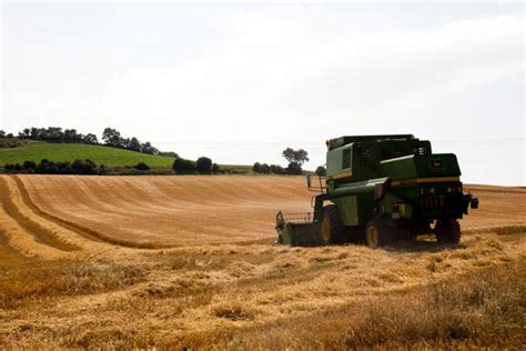 La Tendencia A La Baja De Los Cereales Contin A Sin Que La