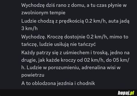 Lud Na Jezdni I Chodniku Hopaj Pl