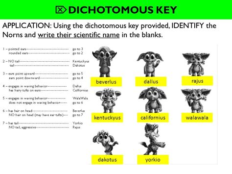 Dichotomous Key Worksheet Complete With Ease Airslate Signnow