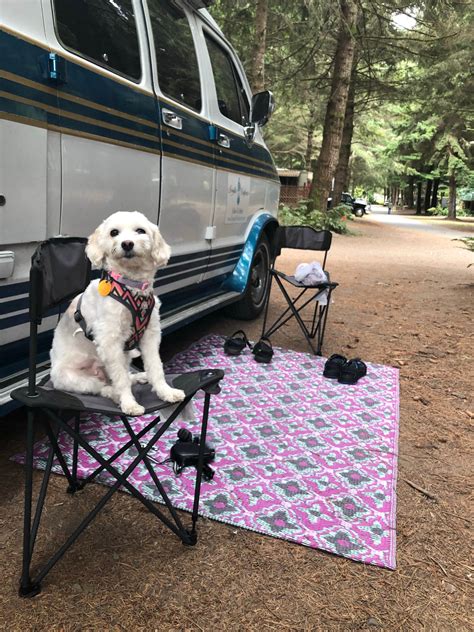Elk Country Rv Resort And Campground Camping The Dyrt