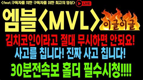 엠블 엠블코인 엠블코인전망 Mvl Btc 코인전망 비트코인 이더리움 도지코인 Youtube