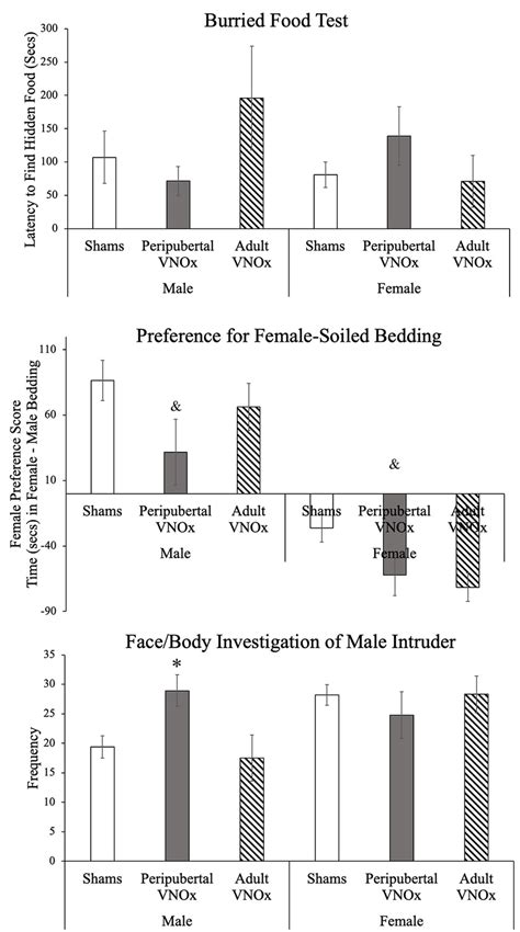 Olfactory Tests Mean ± Sem Groups Did Not Differ On The Buried Food